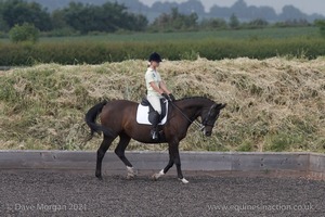 ISIS Dressage Challenge 2008